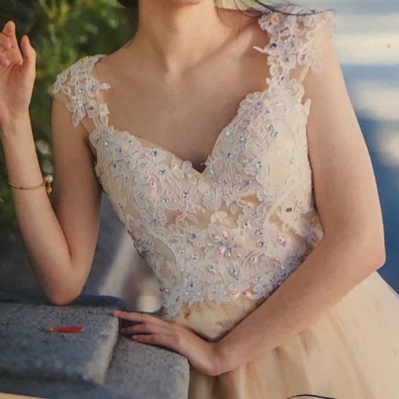 Quince/Sweet 16/ Homecoming/ Prom Lace Dress - Picture 11 of 13